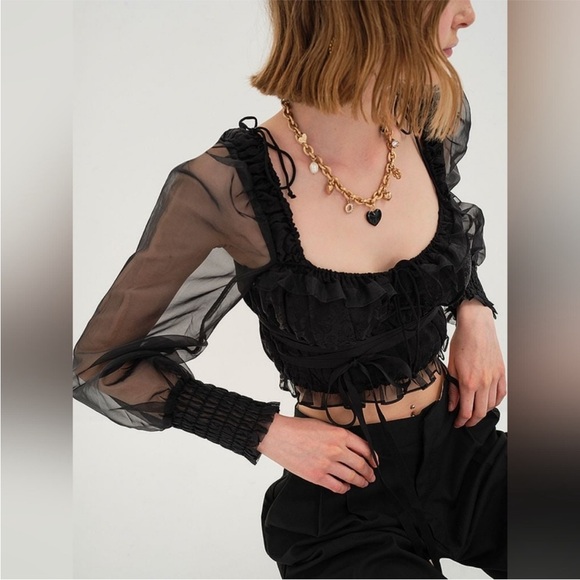 NEW LOVE & LEMONS Organza Puff Long Sleeve Ruffle Sweetheart Neck Crop Top XS - Picture 12 of 16